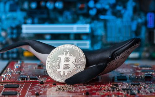 FalconX faces a stress test after crypto crash
