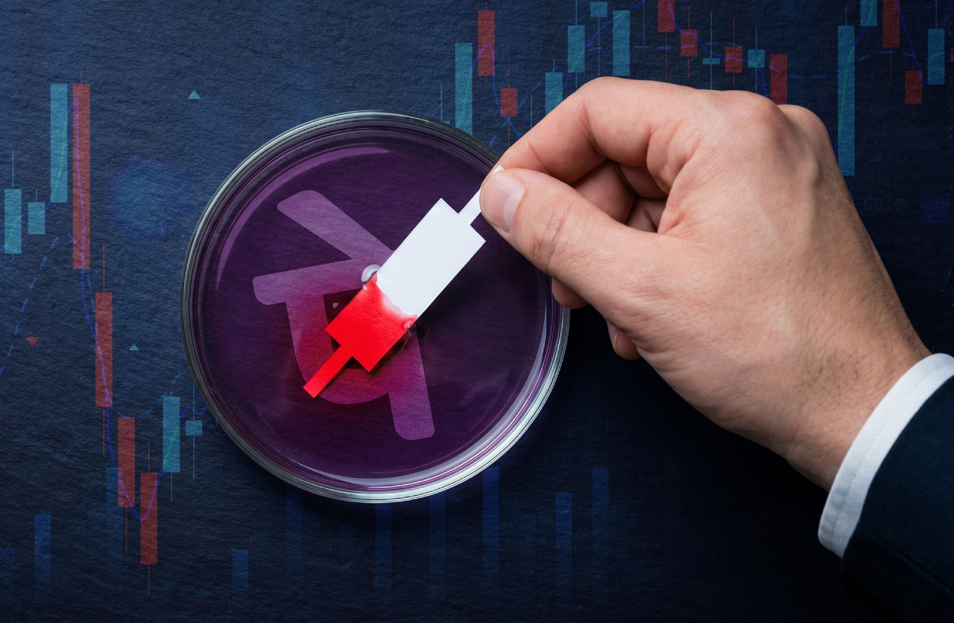 PhonePe goes to market: The UPI champion’s toughest pitch yet