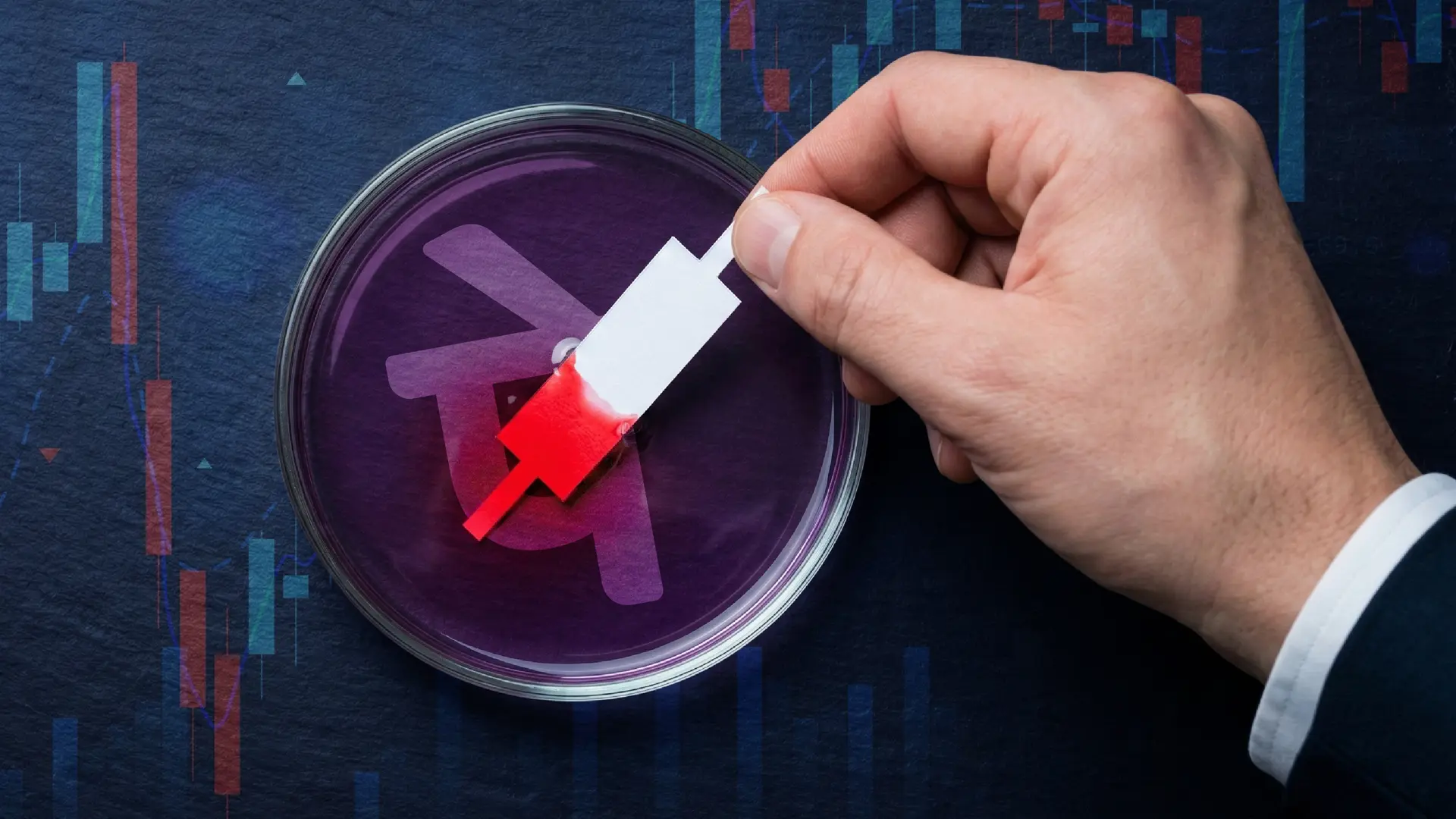 PhonePe goes to market: The UPI champion’s toughest pitch yet