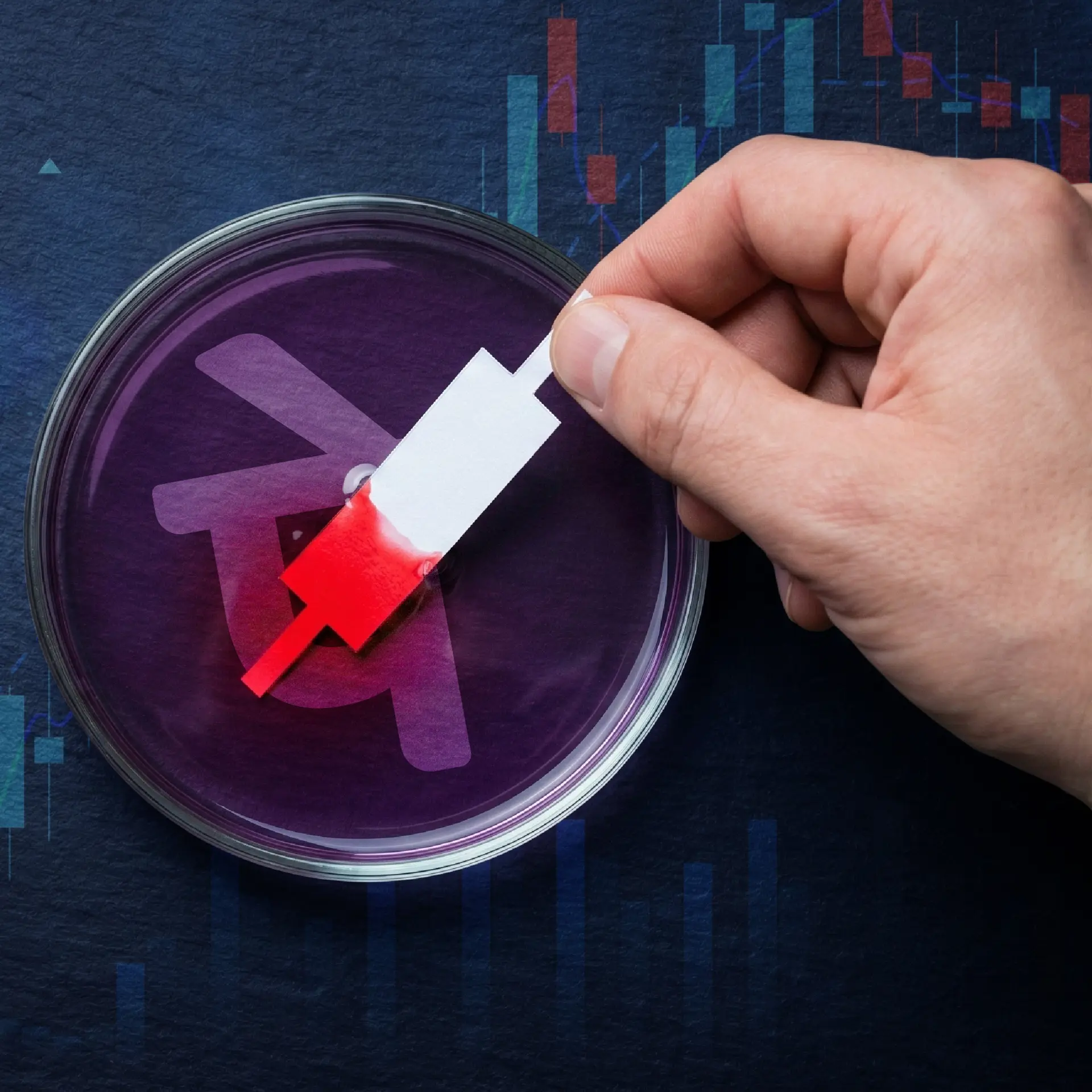 PhonePe goes to market: The UPI champion’s toughest pitch yet