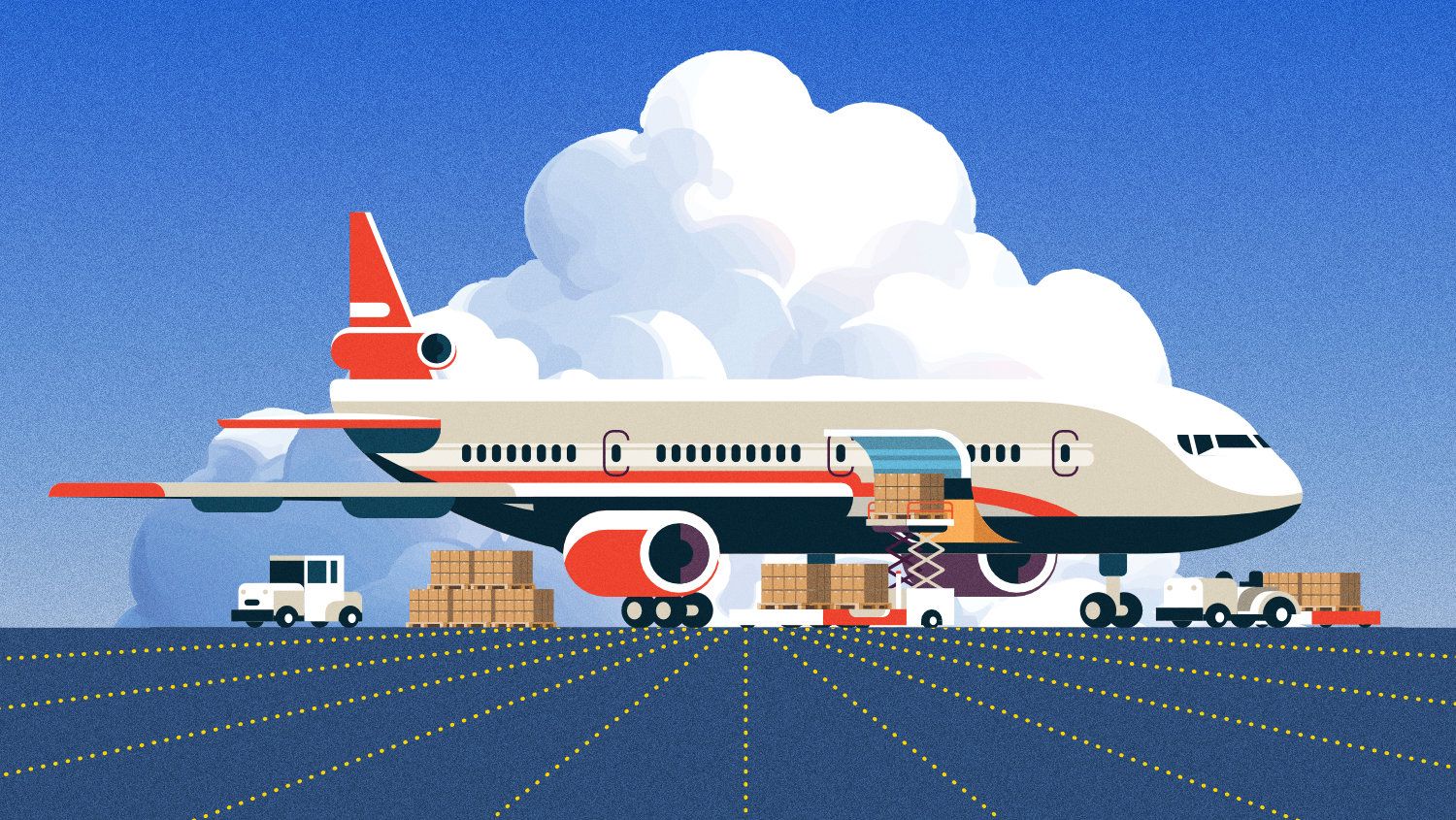 India's air cargo boom leaves most carriers grounded