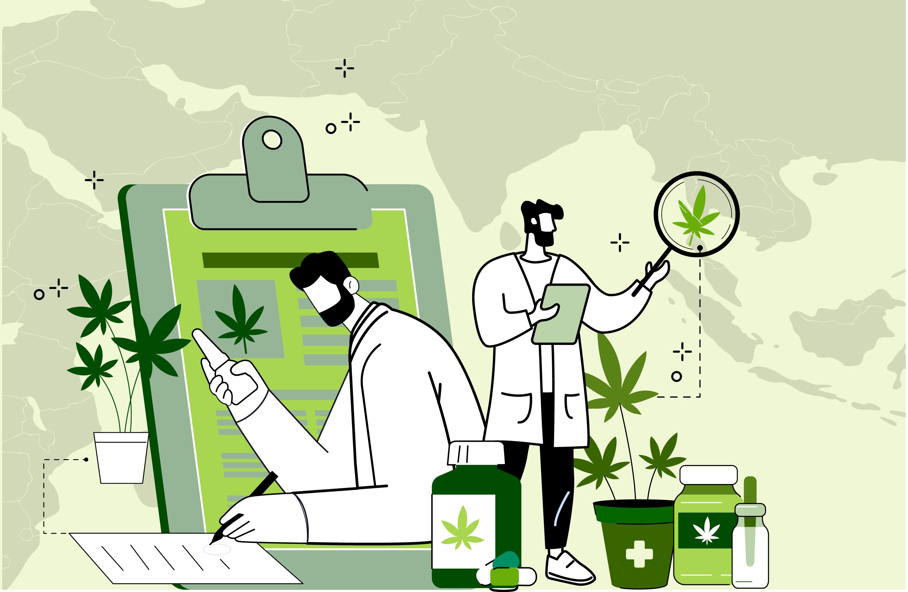 The rise and reset of Thailand’s cannabis economy