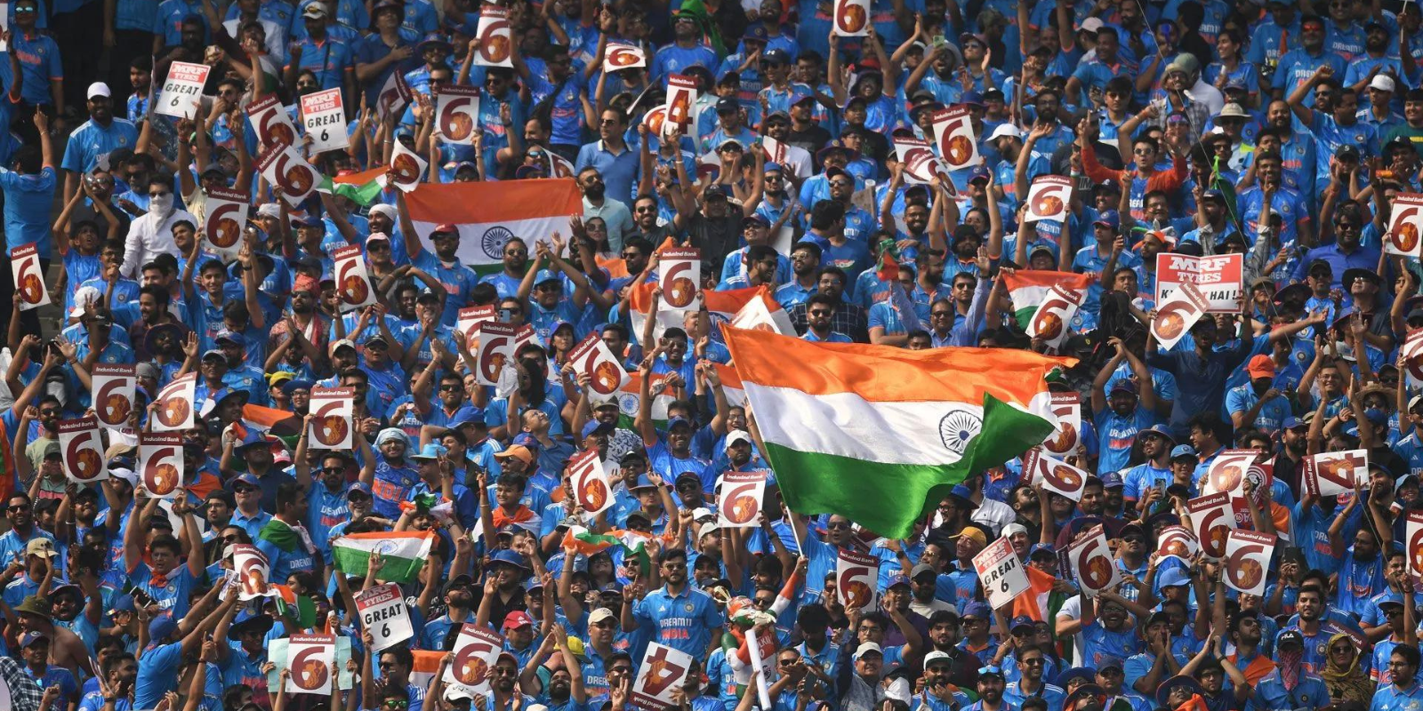 world cup fans